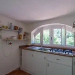 Di Berto