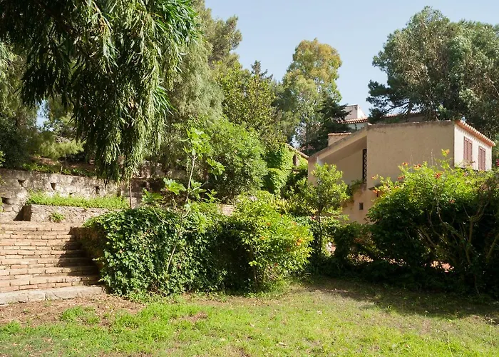 Di Berto Capo Vaticano