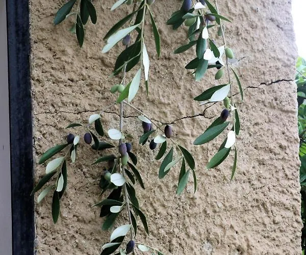 Di Berto Semesterbostad