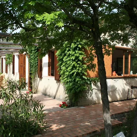 Di Berto Капо-Ватикано