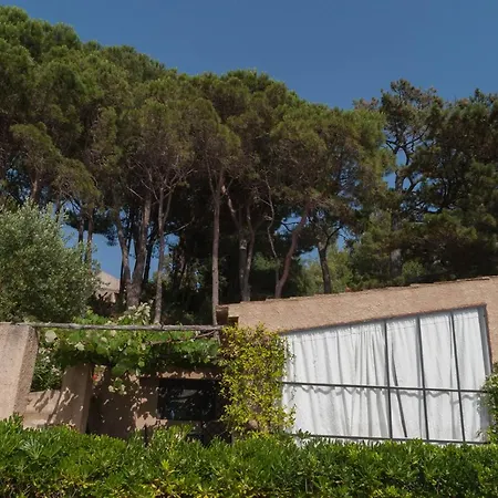 Di Berto * Capo Vaticano