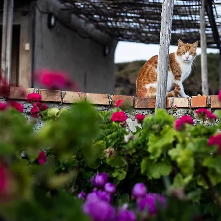 Di Berto * Capo Vaticano
