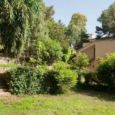 Di Berto Capo Vaticano