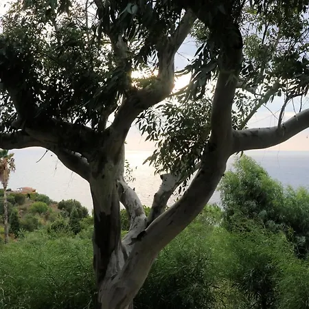 Casa vacanze Di Berto Capo Vaticano