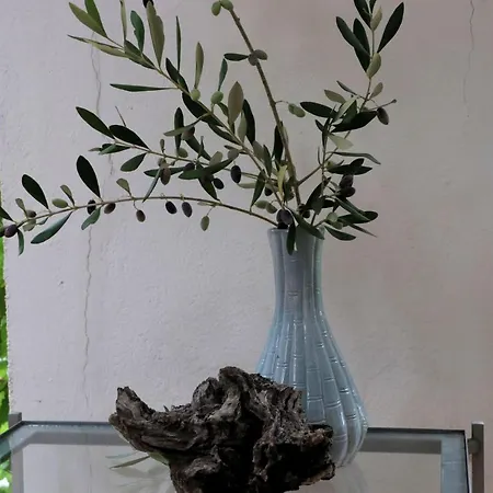 Di Berto *