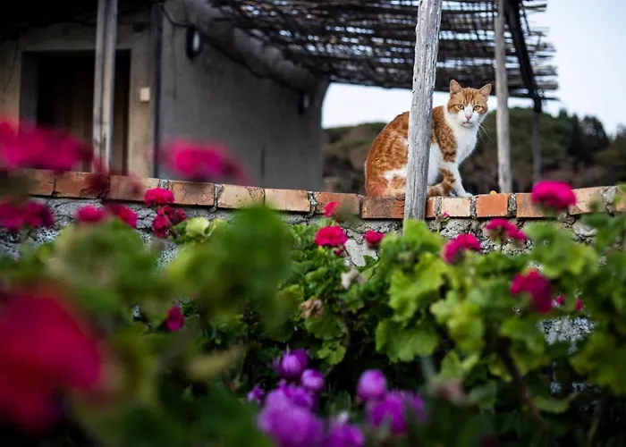 Di Berto * Capo Vaticano