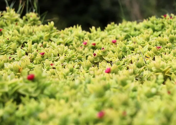 Di Berto Дом отдыха *